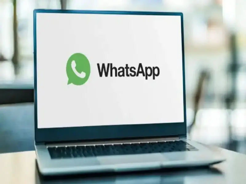 WhatsApp Update: Web users can now choose their favorite chat theme! Get new colors and wallpapers. Learn more