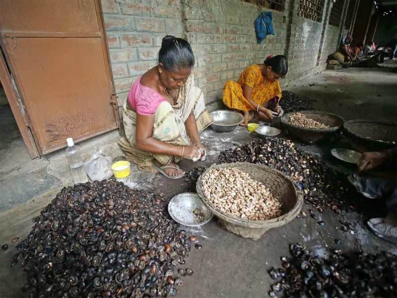 Women-led nano and micro enterprises in rural India key drivers of inclusive growth: Report