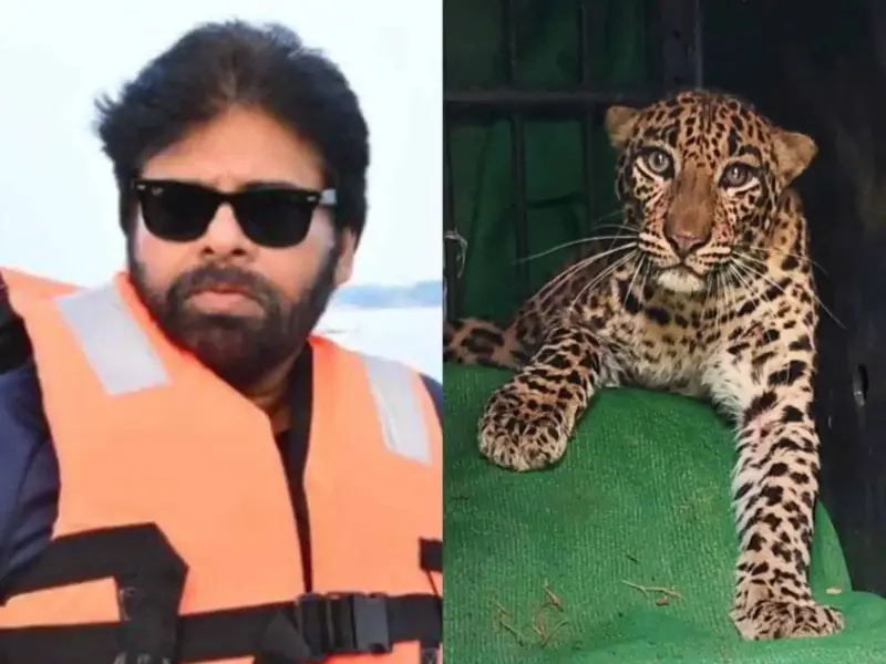Pawan's HANUMAN Begins With Cheetah Operation
