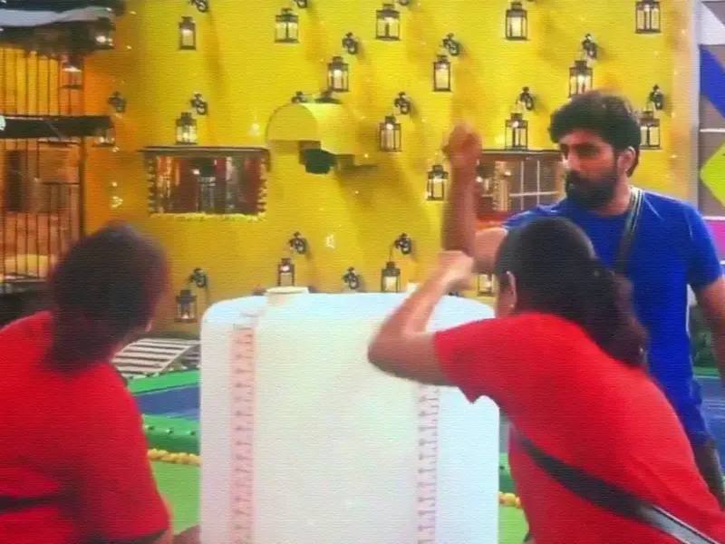 BB8: Nikhil's 'Rough Handling' on Female Contestants