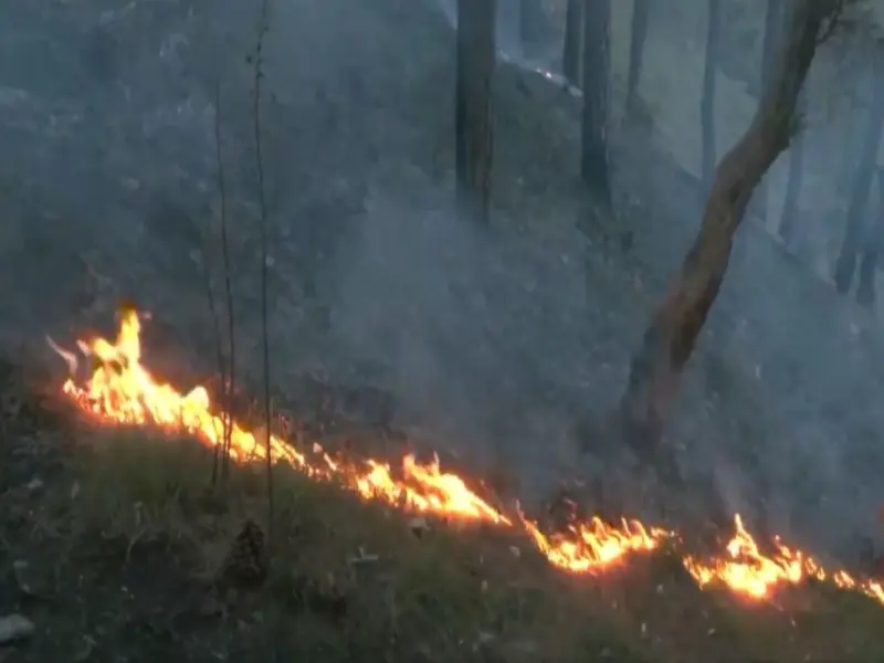 Massive fire breaks out near Shimla's Boileauganj mental hospital