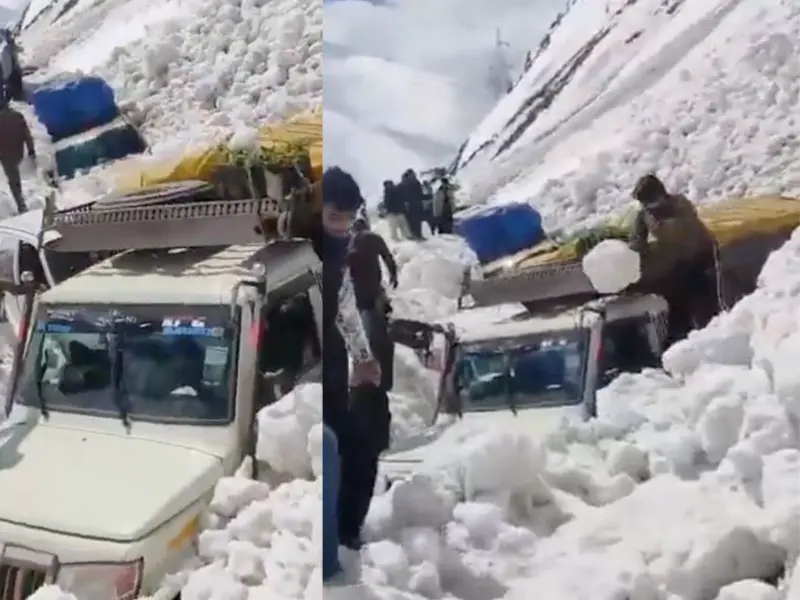 Watch: Massive Avalanche Hits Zojila Pass On Srinagar-Leh Highway, Six Killed, Five Rescued From Vehicles Buried In Snow