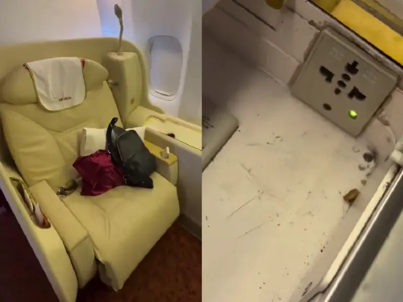 Viral Video: Air India's First-Class Horror!