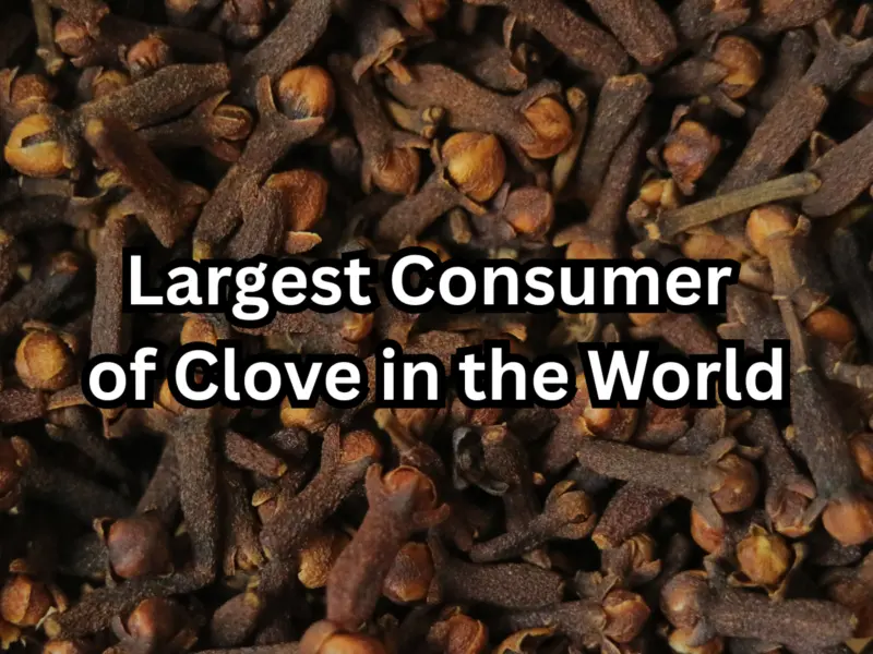 Which Country is Known For Largest Consumer of Clove in the World? Here's the Answer