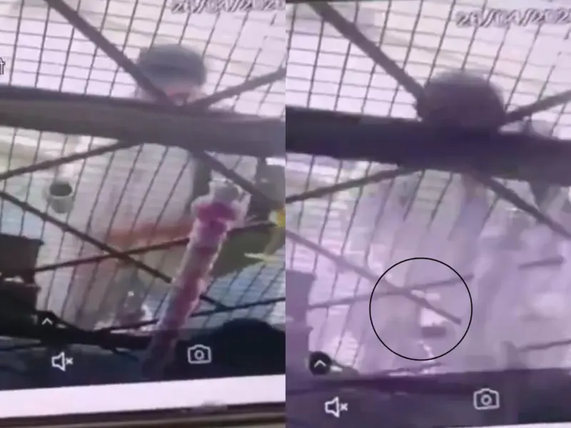 Uttar Pradesh Shocker: 32-Year-Old Woman Forcibly Enters Estranged Husband's Home In Pilibhit, Throws Acid On Him Amid Divorce Dispute; Chilling Incident Caught On CCTV | Watch