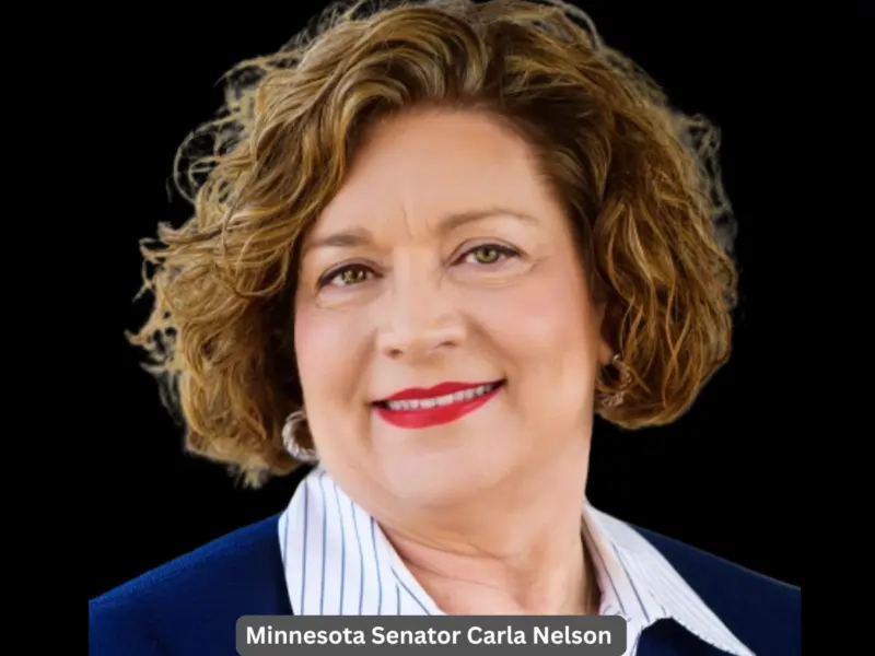 Who Will Succeed Sen. Carla Nelson Following Her Retirement Announcement from Minnesota Senate?