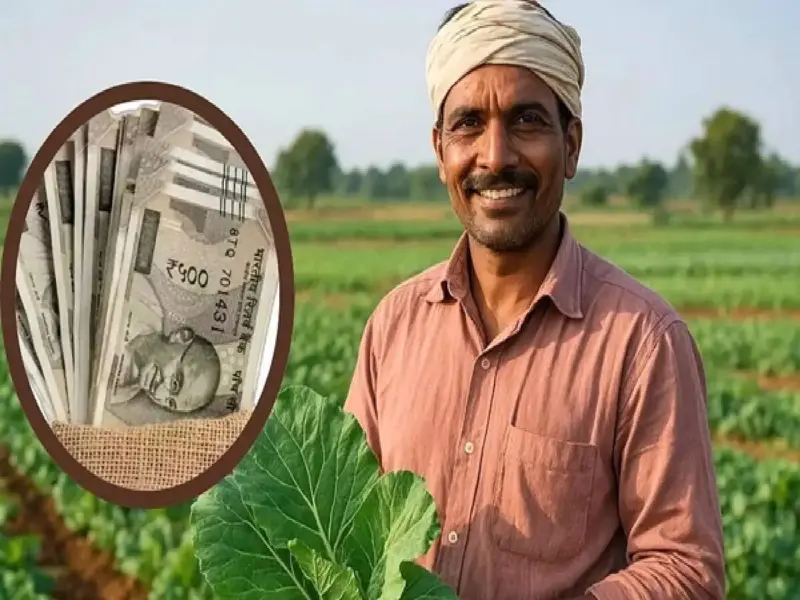 PM Kisan Yojana: किसानों के लिए खुशखबरी, पीएम किसान की ₹2000 की किस्त की तारीख तय, सामने आया बड़ा अपडेट