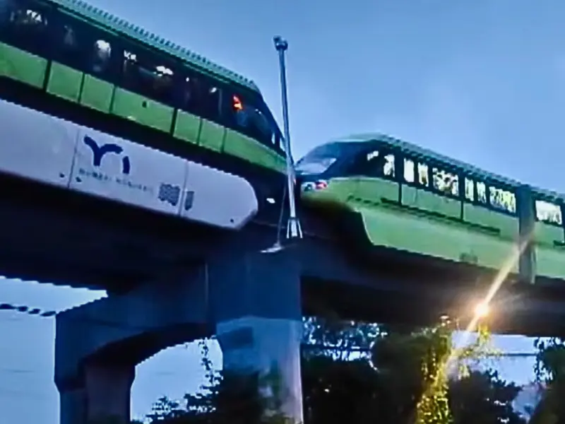 'Overloaded' Mumbai Monorail Stuck in Rain Due to Power Snag | Watch