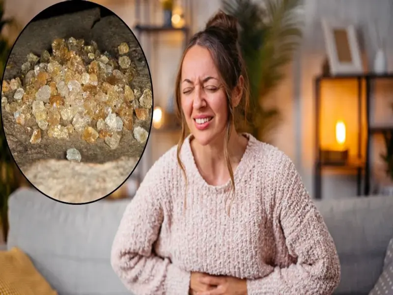 Gond Katira: Cooling Superfood or Health Risk? Who Should Steer Clear
