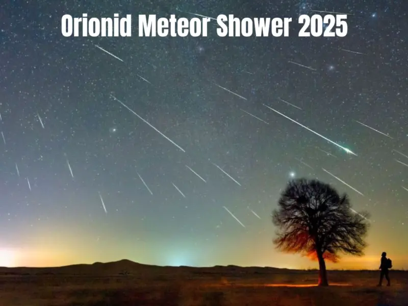 What is Orionid Meteor Shower 2025: Peak Date, Time, and Visibility in India - When, Where, and How to Watch its Peak Tonight in US?