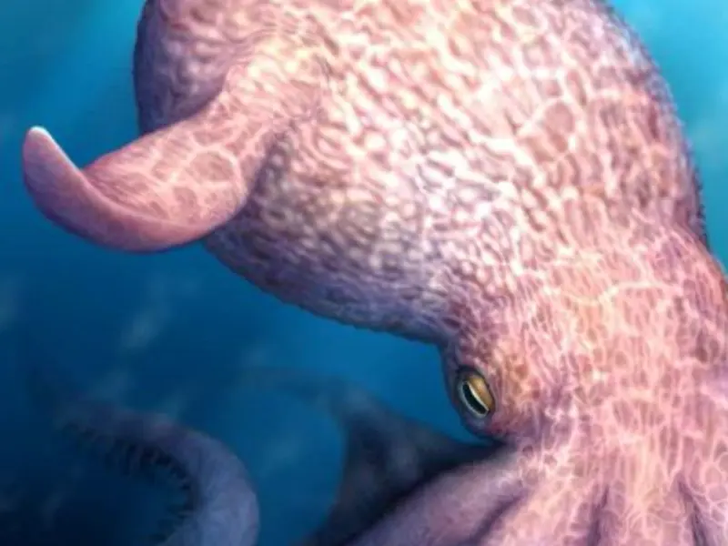 What Is Nanaimoteuthis Haggarti? The 'Cretaceous Kraken' Giant Octopus Species That Prowled The Seas During The Age Of Dinosaurs