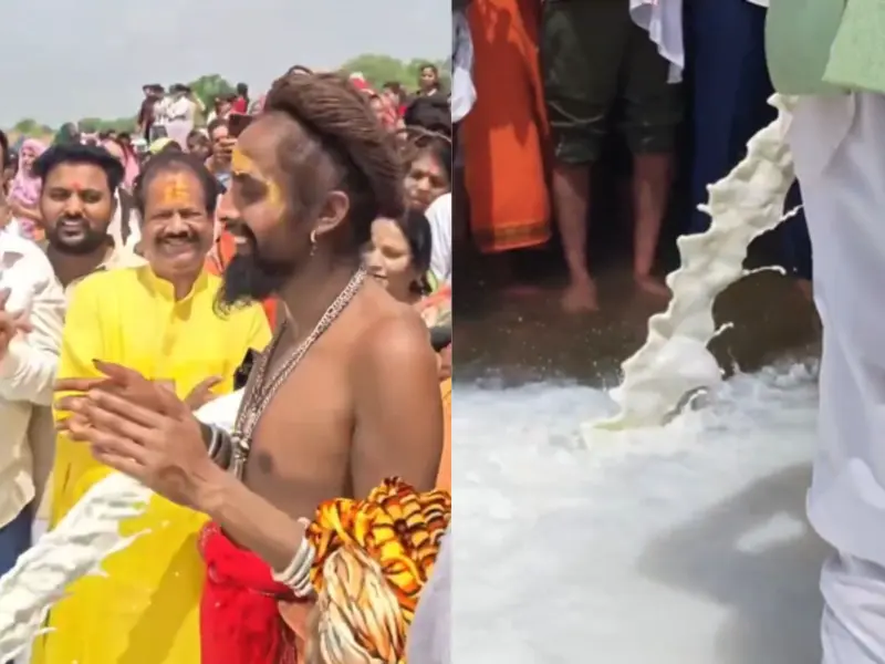 Devotees Pour 11,000 Liters Of Milk Into Narmada, Netizens Outraged Over Waste While Children Sleep Hungry, WATCH VIDEO