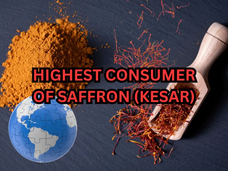 Which Country is Highest Consumer of Saffron (Kesar) in the World? Here's the Answer