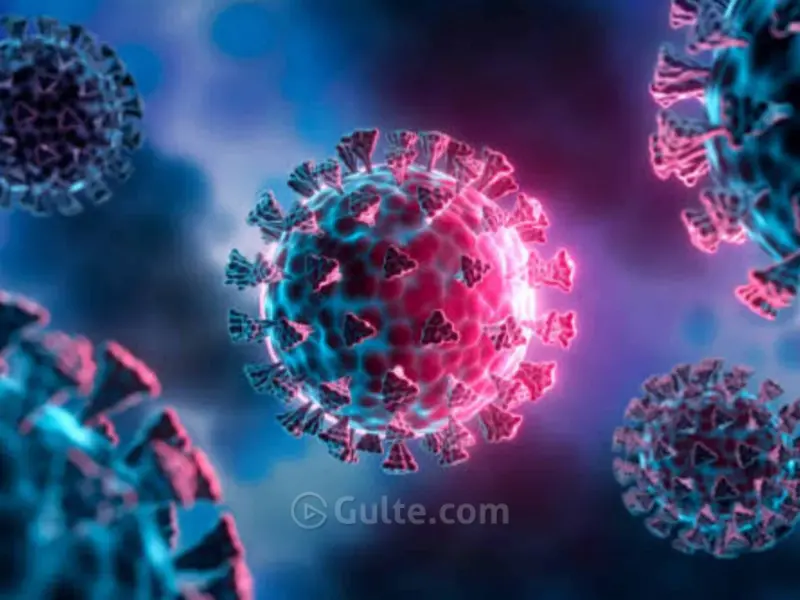 Sudan Traveler Triggers Ebola Scare In Hyderabad