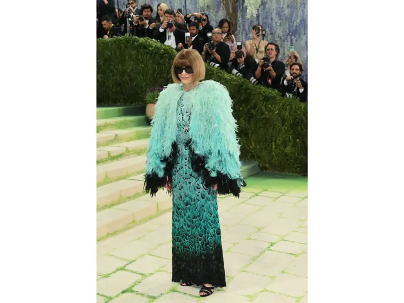 Anna Wintour arrives at Met Gala in feathered look