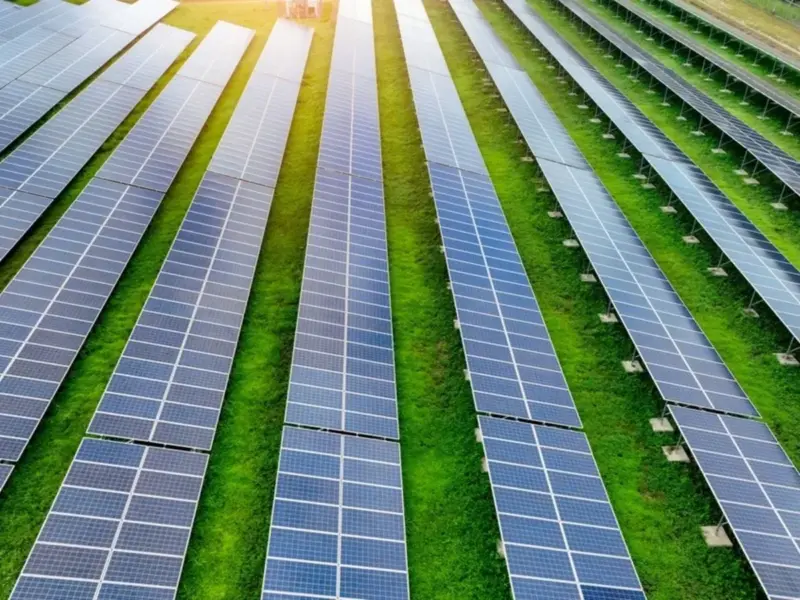 Waaree Energies shares drop nearly 5%; here's what investors should know