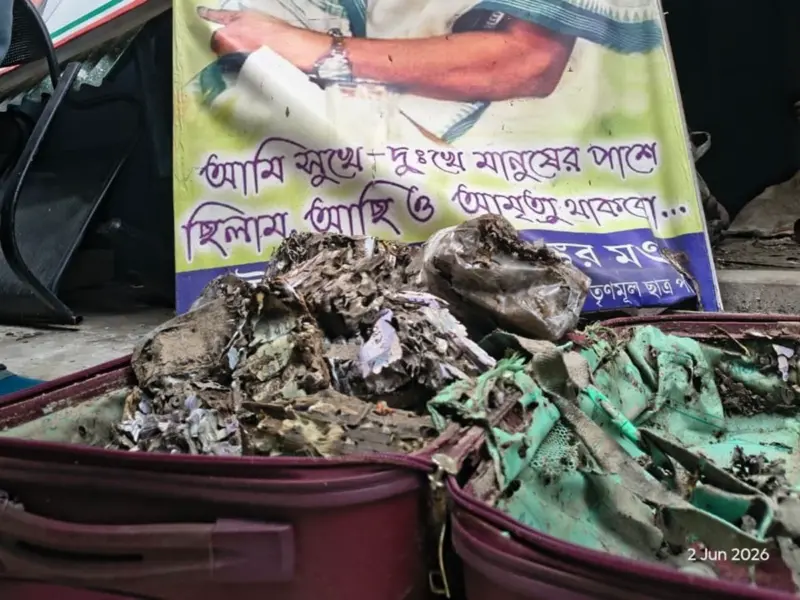 1 करोड़ रुपये की नकदी को चट कर गया दीमक!