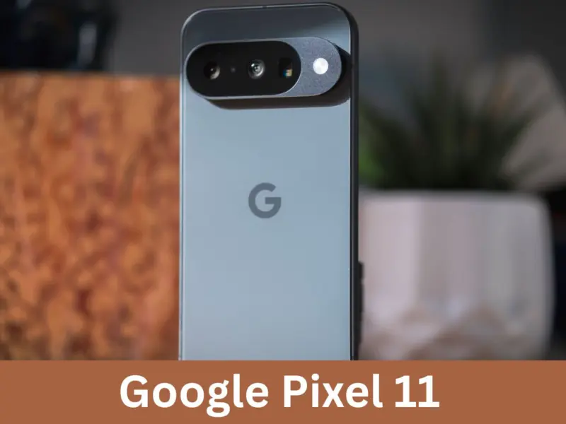 Google Pixel 11: Latest Leak Suggests M16 OLED Display; Check Expected Launch Date, Price in India, Specifications, Features & More