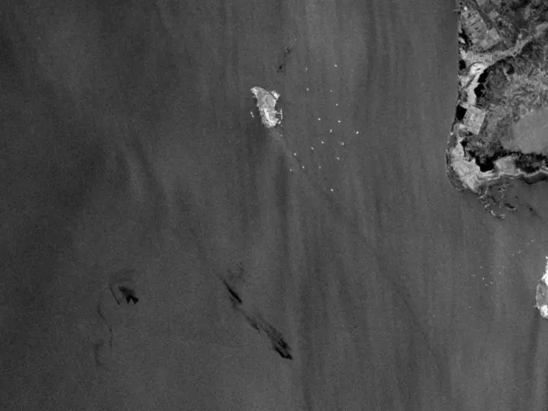 Fact Check: Did Oil Really Leak Near Kharg Island in Iran? Tehran Denies Claims After Satellite Images Show Suspected Gulf Slick