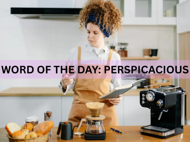 Word of the Day: 'Perspicacious'; Check its Meaning, Origin, Phonetic, IPA & More
