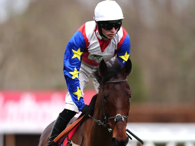 Cheltenham Festival 2026 Turns Tragic: Horse Hansard Dies in Arkle Race Fall as Betting Ring Brawl Erupts on Opening Day