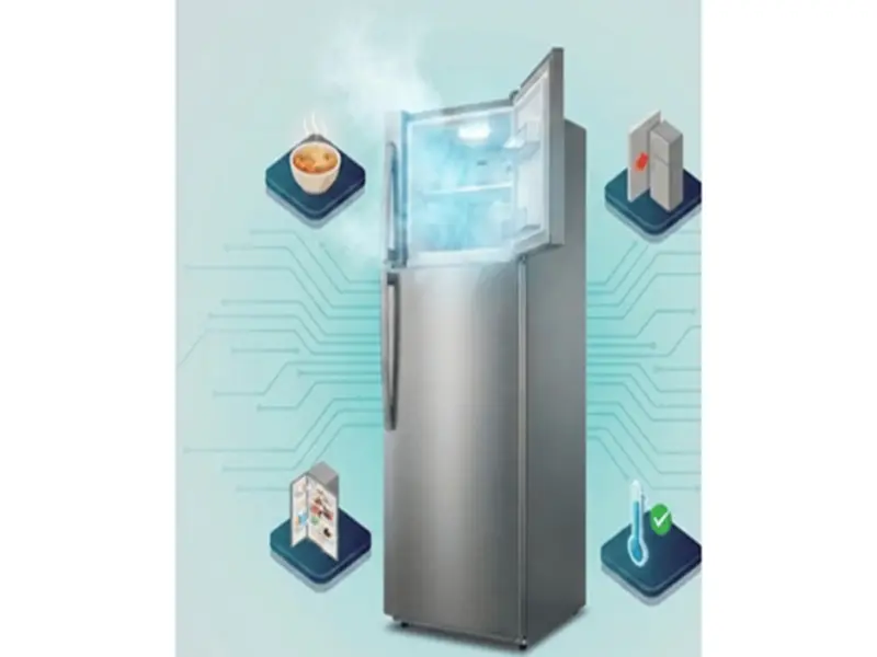 Fridge Tips: Never Make These Mistakes While Using a Refrigerator..