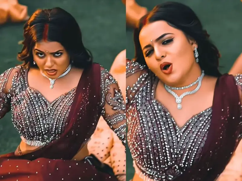 Who Is Shilpi Raj? Bhojpuri Singer Behind Viral 'Private Balamua' Song Taking The Internet By Storm With Lakhs Of Views In Just 5 Days