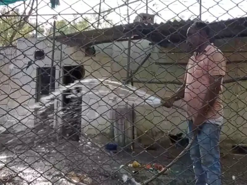 Bathinda zoo implements measures to protect animals from heatwave