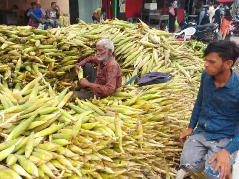 Maize farmers spend nights in queues at PACS centre in Telangana