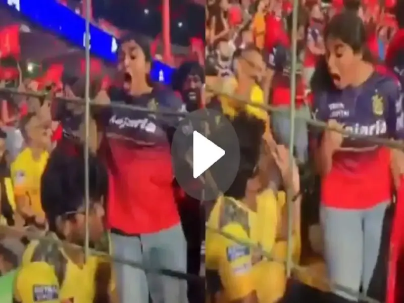 RCB की जीत के बाद स्टेडियम में एक लड़की ने CSK के फैंस का ऐसे उड़ाया मजाक; वीडियो वायरल