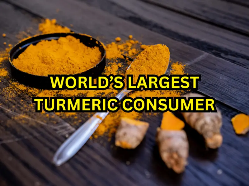 Which Country is the World's Largest Turmeric Consumer? Check the Reasons Behind It