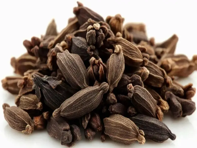 Health Tips: बड़ी इलायची हैं आपकी सेहत के लिए बड़ी ही फायदेमंद, ये रहे इसके फायदे