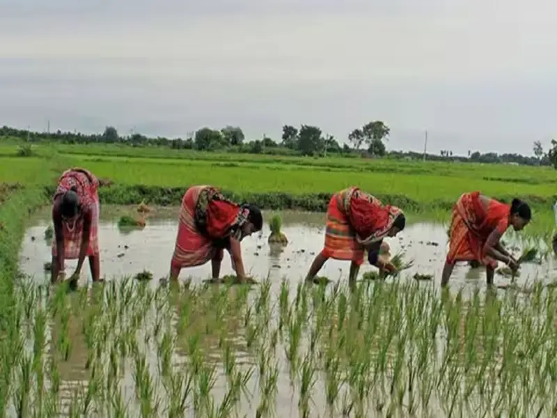 Farmers in this state are receiving Rs 12,000 in their accounts, receiving double the benefits under these schemes