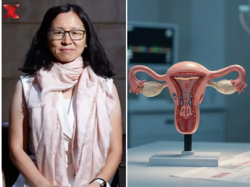 Can Women Delay Their Menstrual Cycle To Once Every Three Months? This Chinese Biologist's Research Might Delay Ovulation And Extend Fertility Lifespan
