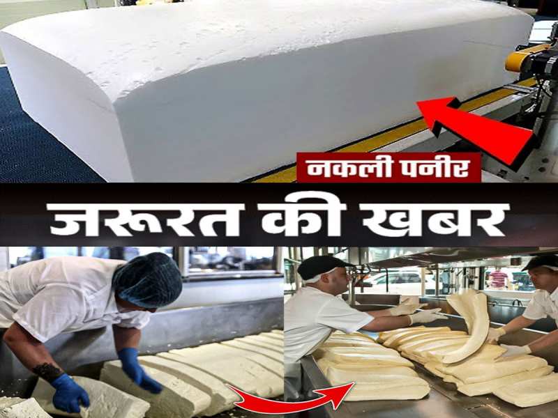 नकली पनीर से सावधान! FSDA की छापेमारी में 20 क्विंटल जब्त, FSSAI ने बताया छूकर कैसे पहचानें असली-नकली!