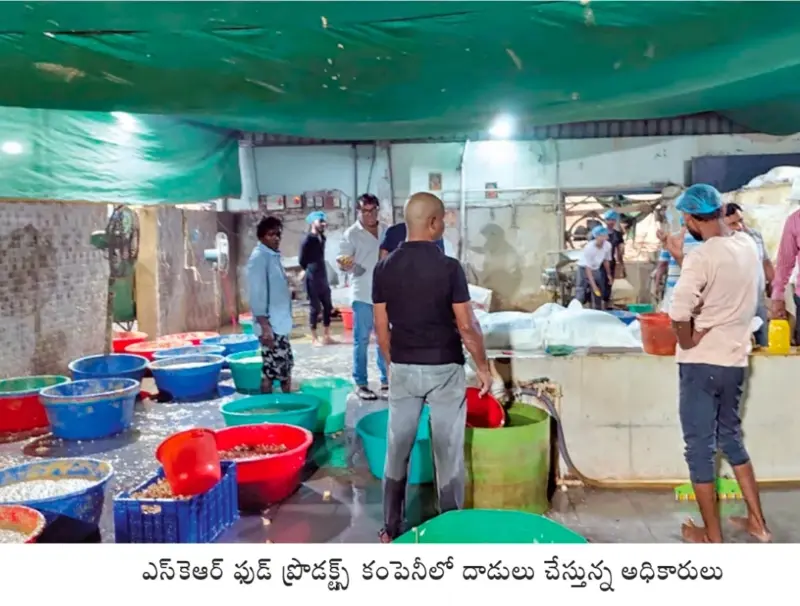 ఆరోగ్యం గుల్లచేస్తున్న నకిలీ అల్లం పేస్ట్