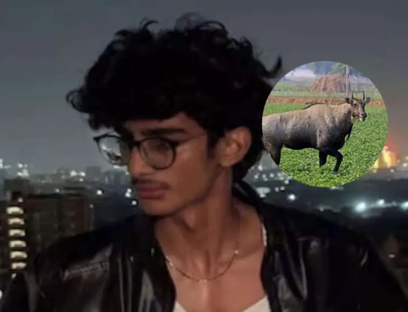 "He Isn't Gone," Says Father As Ahmedabad Teen, Hit By Nilgai, Saves Six Lives Via Organ Donation