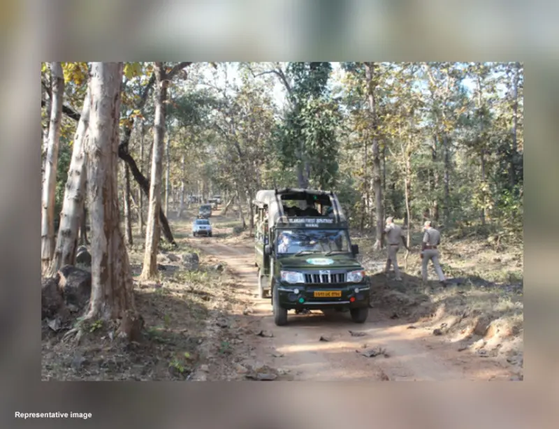 Forest Dept Slaps ₹10 Lakh Fine on Illegal Grazers in Kawal Tiger Reserve