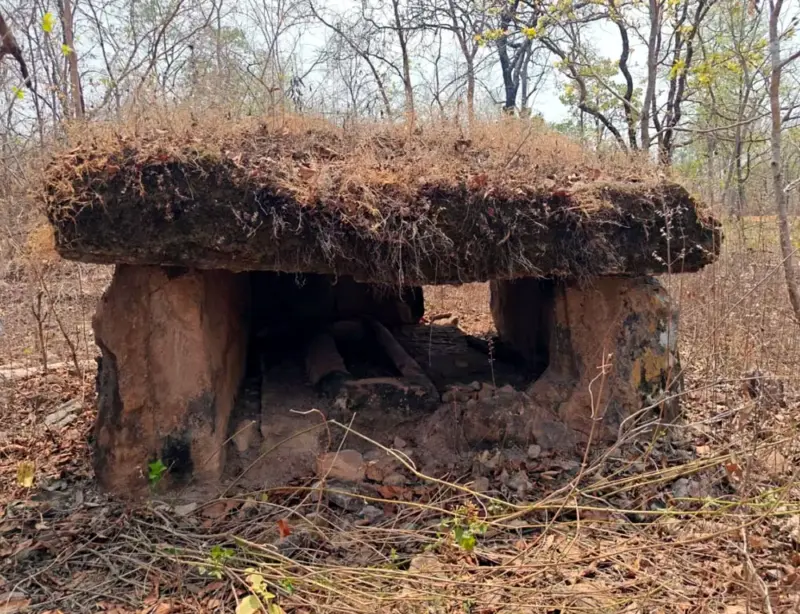 Telangana Heritage Dept Finds Vast Prehistoric Burial Sites in the Godavari Basin