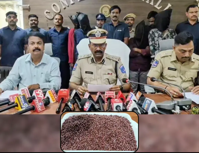 Banned BG-III cotton seeds worth ₹98 lakh seized near Medchal, two arrested