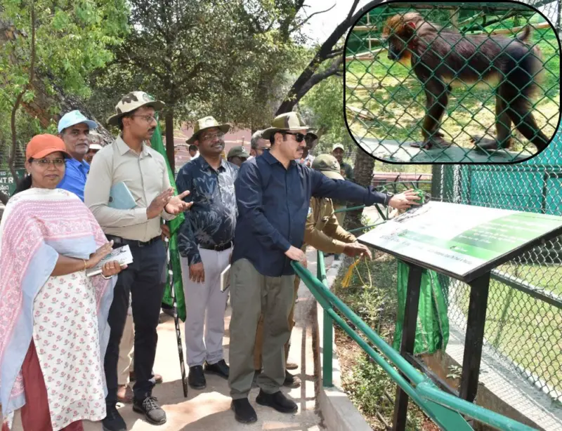 Mandrills introduced at Hyderabad zoo under animal exchange programme