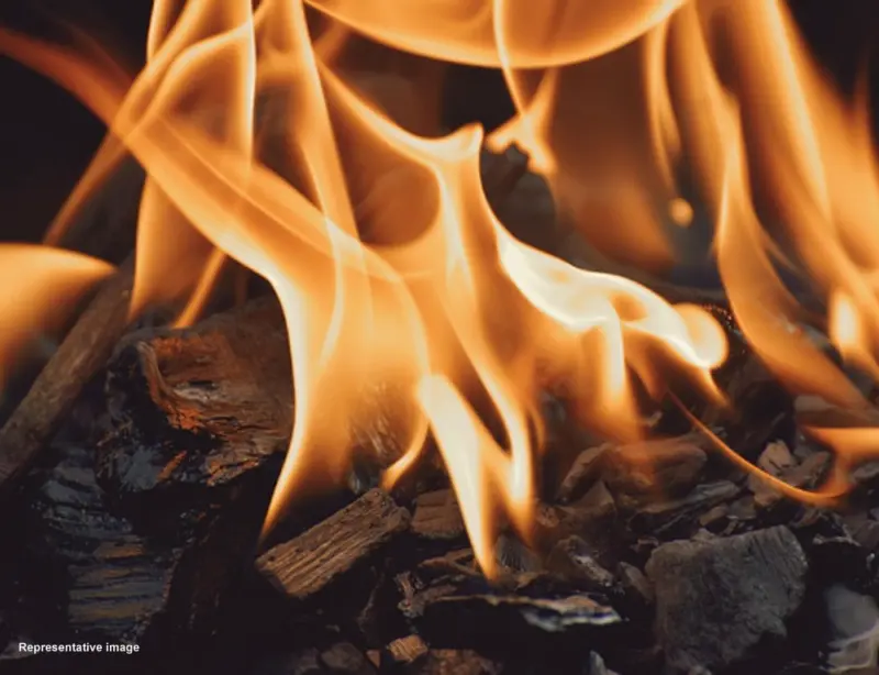 Small Mistakes, Big Fires - What's Behind Telangana's Rising Fire Cases