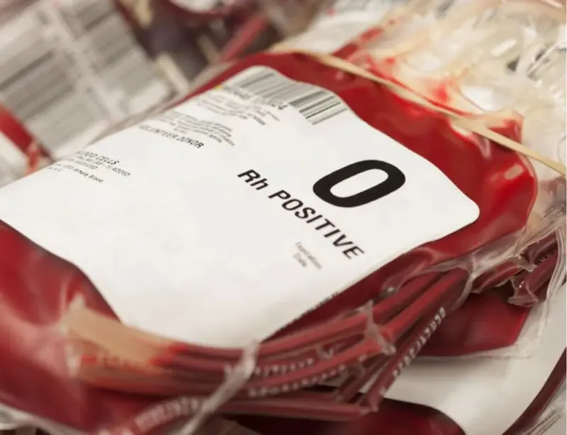 Technicians give wrong blood group at Warangal MGM
