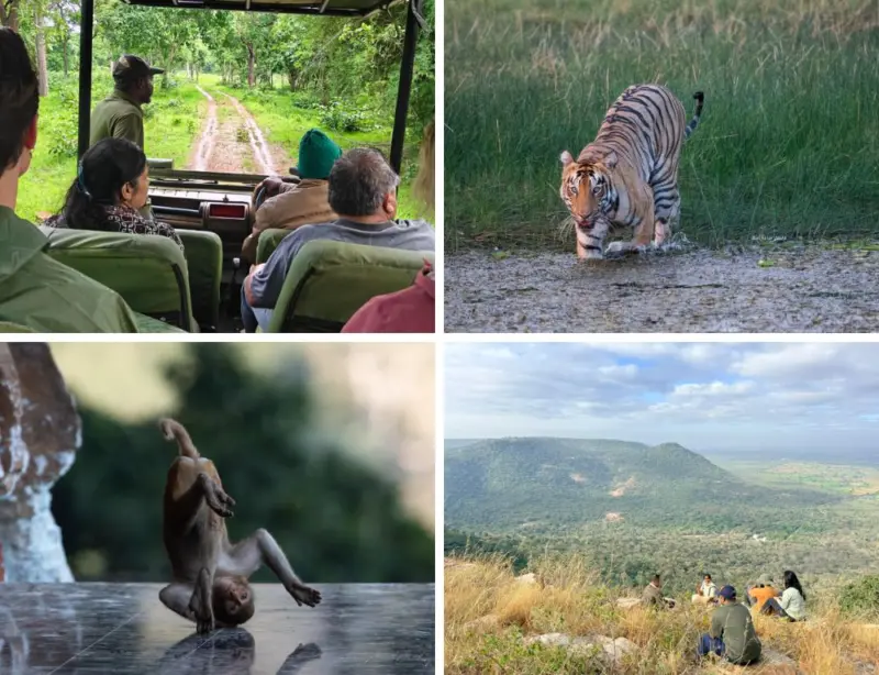 Mannanur Jungle Resort offers tiger safari experience in Amrabad Tiger Reserve
