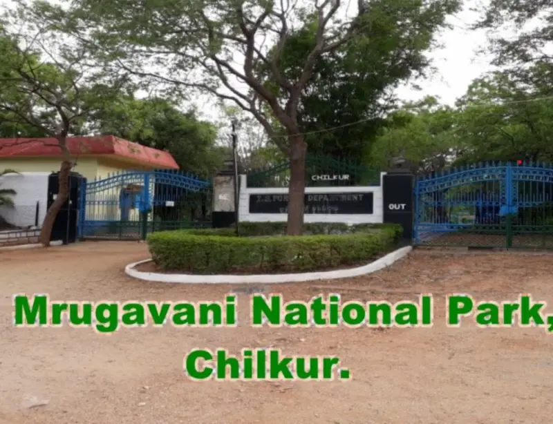 Forest department faces allegations over missing land in Mrugavani National Park