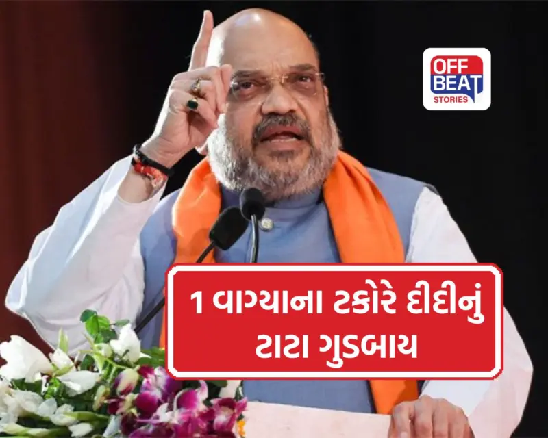"પરિણામો બાદ તૃણમૂલ કોંગ્રેસનો સફાયો નિશ્ચિત": અમિત શાહે મમતા બેનર્જીની હારની કરી ભવિષ્યવાણી