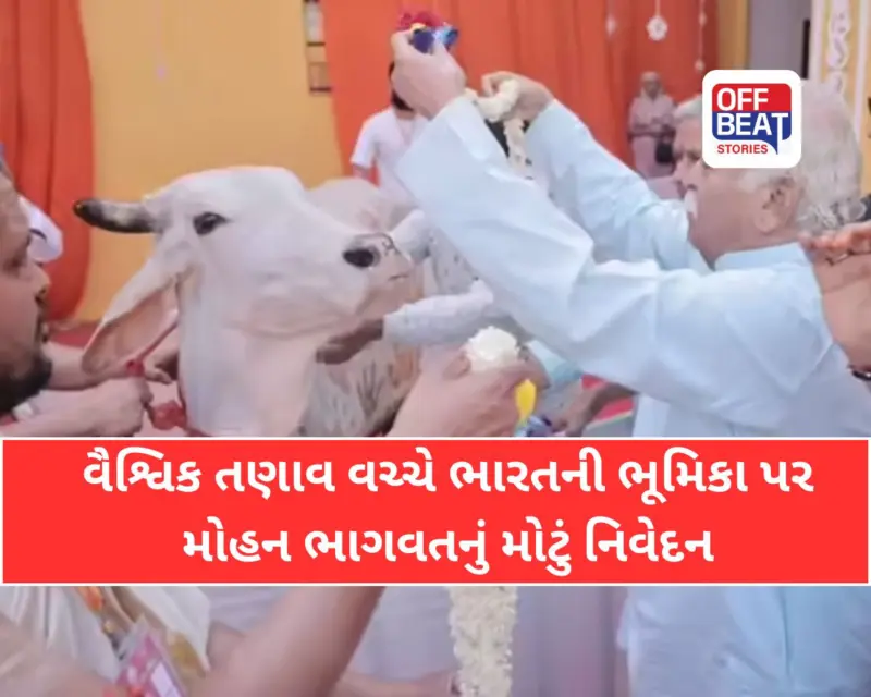 'સમય આવી ગયો છે, હવે ભારત દુનિયાને શાંતિનો માર્ગ બતાવશે': હોર્મુઝ સ્ટ્રેટ સંકટ વચ્ચે મોહન ભાગવતનું મહત્વપૂર્ણ નિવેદન