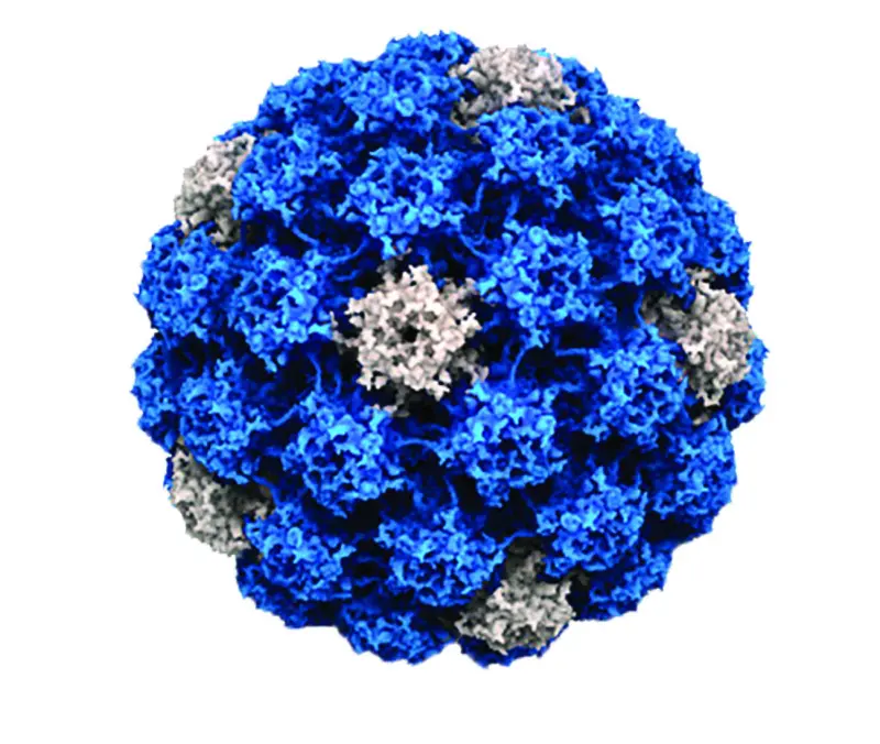 ಕೋವಿಡ್: ನ್ಯಾಯಾಂಗ ತನಿಖೆಗೆ ಕಾಂಗ್ರೆಸ್ ಆಗ್ರಹ