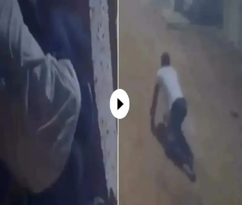 Video: चोरी करने आया चोर, दिवार पर चढ़ने की कोशिश में हुआ कुछ ऐसा कि... वीडियो देख आपकी भी निकल जाएगी हंसी