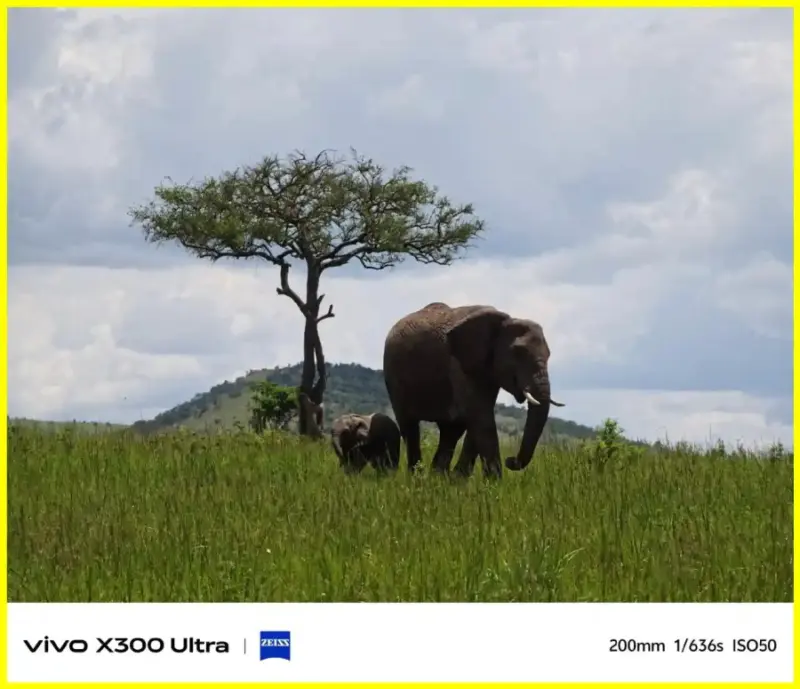 Vivo X300 Ultra: 200MP Camera Samples Showcase Impressive Zoom Capabilities